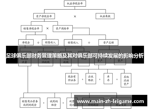 足球俱乐部财务管理策略及其对俱乐部可持续发展的影响分析