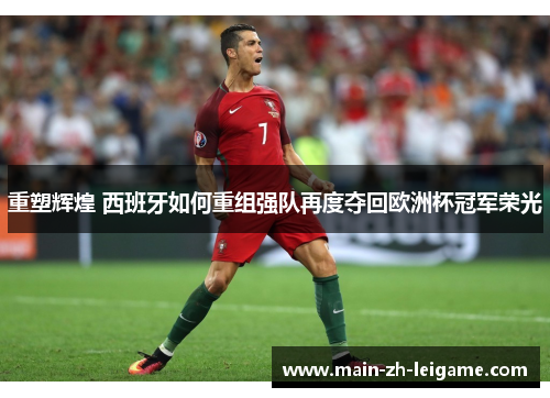 重塑辉煌 西班牙如何重组强队再度夺回欧洲杯冠军荣光