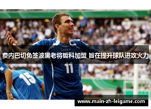费内巴切免签波黑老将哲科加盟 旨在提升球队进攻火力